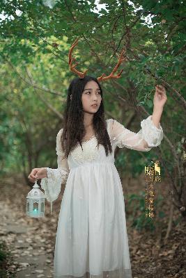 白马影院网免费观看电视剧大全